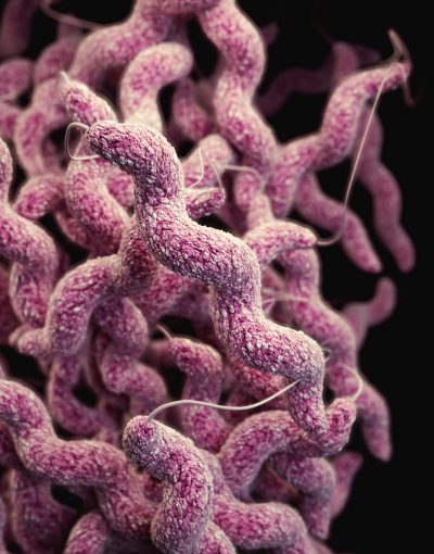 cdc-9zufjjagejk-unsplash