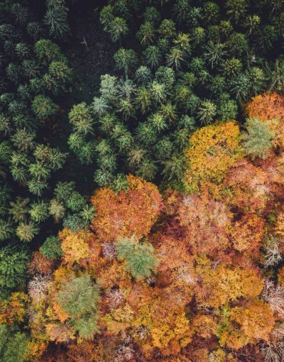 ivan-bandura-lzG4UQprzBY-unsplash